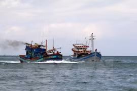 Crean asociación de pescadores en provincia central de Vietnam