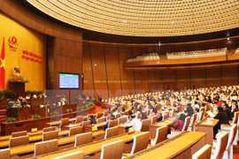 Parlamento aprueba borradores de Leyes de Infancia y de Prensa (modificada)