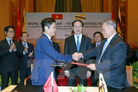 Vietnam y Brunei buscan medidas para intensificar la cooperación económica