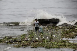 Tifón Sarika provoca pérdidas humanas y materiales en Filipinas