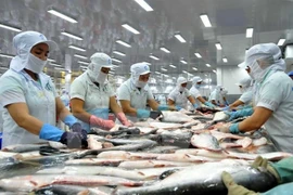 Nuevo reglamento para exportadoras de bagres de Vietnam a EE.UU.