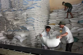 Busca Myanmar nuevos mercados receptores de arroz
