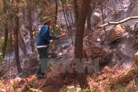 Clima seco eleva alerta de incendios forestales de Vietnam