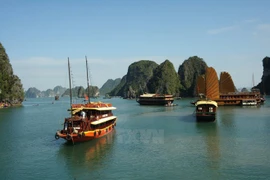 Vietnam busca reconocimiento de zona Ha Long - Cat Ba como patrimonio de humanidad