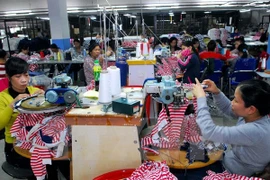 Llaman en Vietnam a inversión europea en zonas industriales