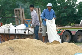 Tailandia recomienda ralentizar producción de arroz