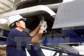 Ciudad vietnamita de Can Tho prioriza atracción de inversión en zona industrial Vietnam- Japón