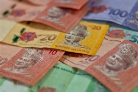 Nombran nueva gobernadora del Banco Central de Malasia 