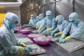 Vietnam ingresa cuatro mil millones de dólares por exportaciones de productos acuáticos