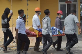 No hay víctima vietnamita en terremoto en Indonesia, afirma embajada 