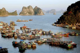 Quang Ninh prevé acoger a 12 millones de visitantes en 2018