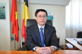 Vietnam y Bélgica consideran establecer asociación estratégica en algunas esferas