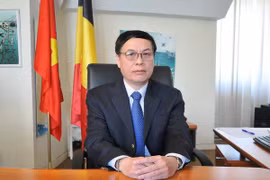 Vietnam y Bélgica consideran establecer asociación estratégica en algunas esferas