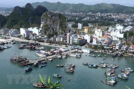 Gobierno de Vietnam pide retrasar la aprobación de proyecto de ley sobre zonas económicas especiales