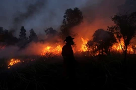 Detectan numerosos puntos de calor en Indonesia