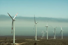 Proponen invertir 12 mil millones de dólares en proyecto de energía eólica en Vietnam