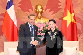 Chile confirma prioridad de impulsar cooperación con Vietnam
