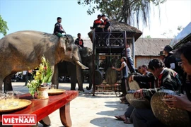 Provincia vietnamita desarrolla turismo basado en comunidad 
