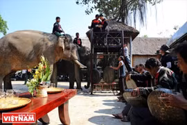 Provincia vietnamita desarrolla turismo basado en comunidad 