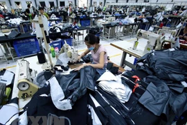 Optimistas expertos sobre economía de Vietnam en resto de 2018 