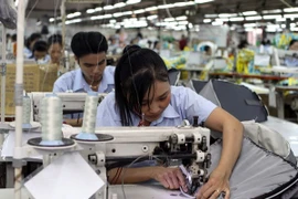 Analizan cooperación económica entre Vietnam y Rusia sus alcances y perspectivas