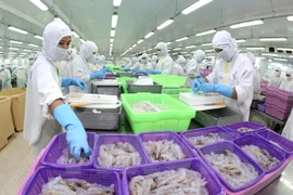 Recomiendan en Vietnam políticas para mantener tendencia alcista de exportaciones 