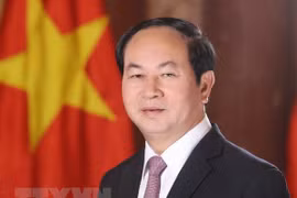 Presidente de Vietnam reitera el significado de su visita estatal a Egipto