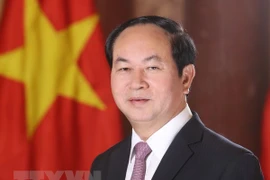 Presidente de Vietnam reitera el significado de su visita estatal a Egipto