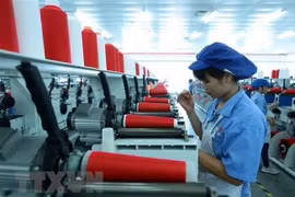 Empresas de Hong Kong centran sus inversiones en mercado vietnamita 