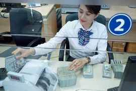 Banco Asiático aprueba préstamo millonario para desarrollo y difusión de información financiera en Vietnam