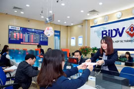 Vietnam anuncia los mejores 100 productos y servicios elegidos por consumidores