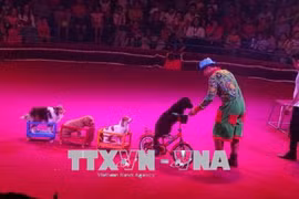 Efectúan en Vietnam primera Gala Internacional de Circo