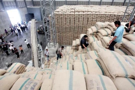 Tailandia planea exportar 9,5 millones de toneladas de arroz en 2018