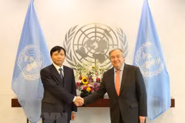 Resaltan desempeño de Vietnam en foros de las Naciones Unidas