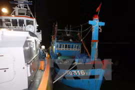 Rescatan oportunamente marineros extranjeros accidentados en mar vietnamita
