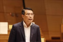 Gobernador general del Banco Estatal de Vietnam aborda tema de deuda mala ante el Parlamento