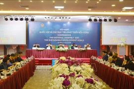 PNUD aprecia esfuerzos de Vietnam para garantizar derechos de grupos vulnerables
