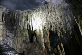 Provincia vietnamita de Quang Binh presenta nuevo recorrido de exploración de cuevas