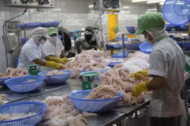 Provincia survietnamita incrementa exportaciones de arroz y pescado Tra 