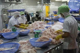Provincia survietnamita incrementa exportaciones de arroz y pescado Tra 