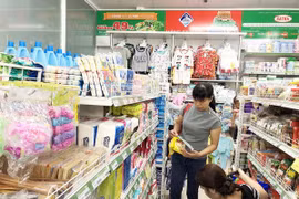 Vietnam impulsa el ingreso de empresas nacionales a mercados extranjeros 