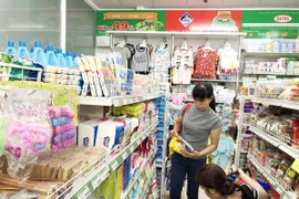 Vietnam impulsa el ingreso de empresas nacionales a mercados extranjeros 