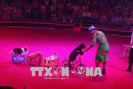 Efectúan en Vietnam primera Gala Internacional de Circo