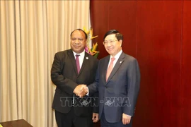 Cancilleres de Vietnam y Papúa Nueva Guinea se entrevistan al margen del APEC