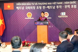 Efectúan Foro de Inversión y Comercio Vietnam – Corea del Sur 