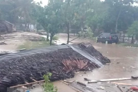 Indonesia reafirma atención en mejoramiento del sistema de alerta temprana de tsunami 
