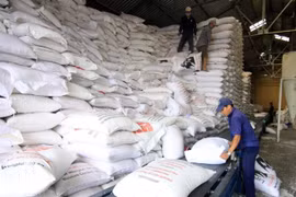 Vietnam cosecha frutos de sus esfuerzos por ampliar el mercado de arroz 