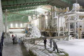  Reportan señales positivas para exportación de arroz de Vietnam en 2018