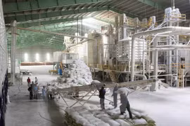  Reportan señales positivas para exportación de arroz de Vietnam en 2018