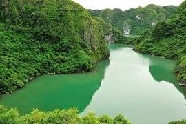 Vietnam promueve conservación de valores de sus reservas mundiales de biosfera 